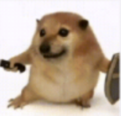 麻豆网站 麻豆网站