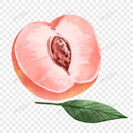 WWW,av810·COM网站APPAPP应用